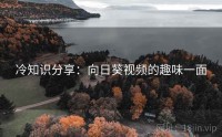 冷知识分享：向日葵视频的趣味一面