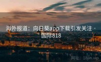 海外报道：向日葵app下载引发关注 · 国际818