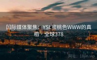 国际媒体聚焦：YSL蜜桃色WWW的真相 · 全球378